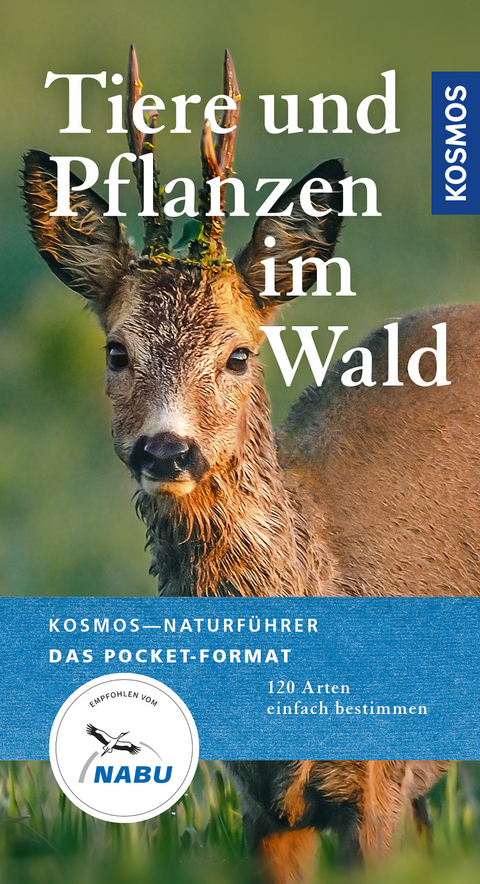 Tiere und Pflanzen unserer Wälder - Ute Wilhelmsen