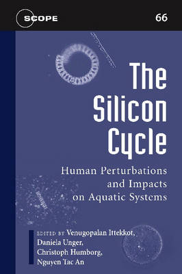 The Silicon Cycle - 