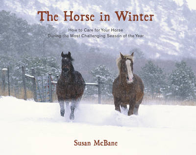 The Horse in Winter - Susan McBane