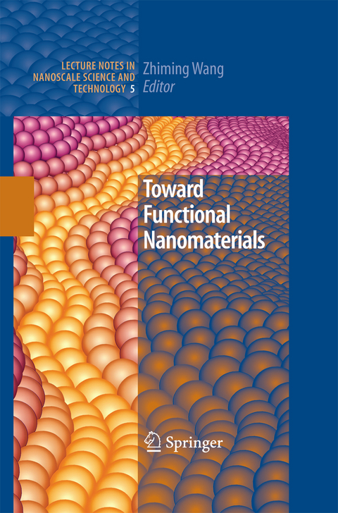 Toward Functional Nanomaterials - 