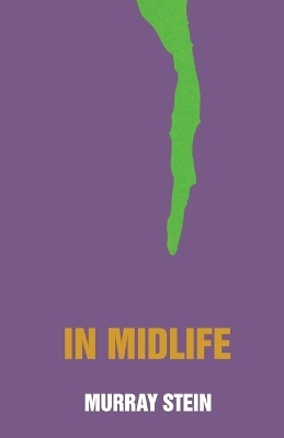 In Midlife - Murray Stein