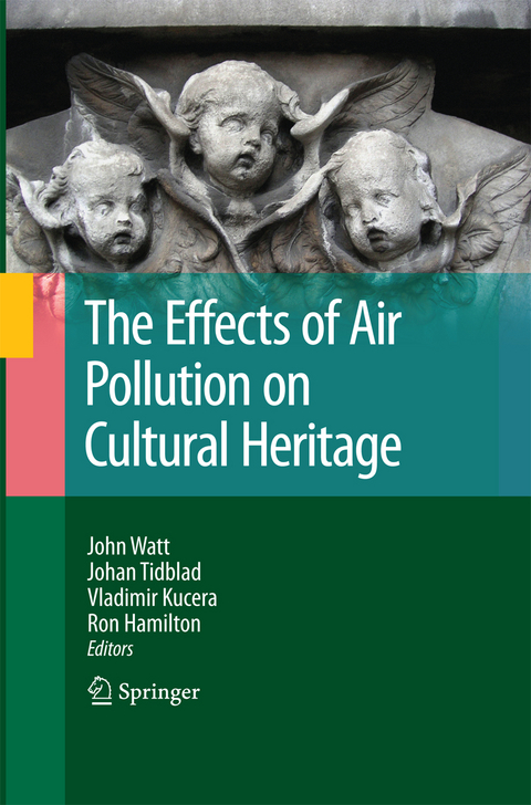 The Effects of Air Pollution on Cultural Heritage - 