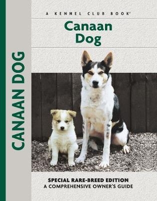 Canaan Dog - Joy Levine