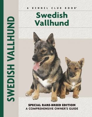 Swedish Vallhund - Janice Wilton