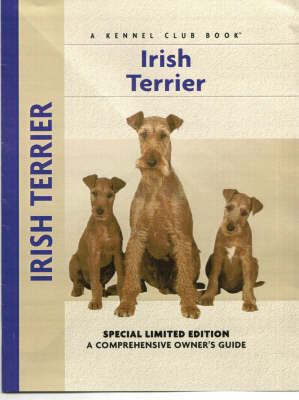 Irish Terrier - Bardi McClennan