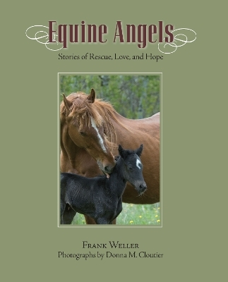 Equine Angels - Frank Weller