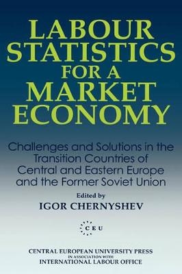 Labour Statistics for a Market Economy - Igor Chernyshev