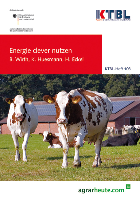 Energie clever nutzen - Bernd Wirth, Kathrin Huesmann, Henning Eckel