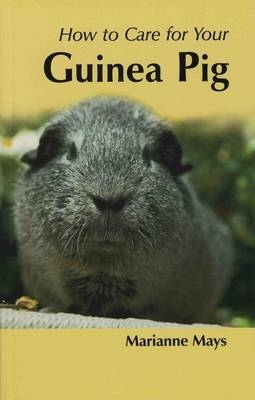 How to Care for Your Guinea Pig - Marianne Mays