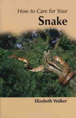 How to Care for Your Snake - Elizabeth Walker