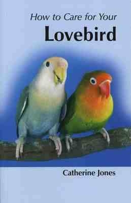 How to Care for Your Lovebird - Catherine Jones