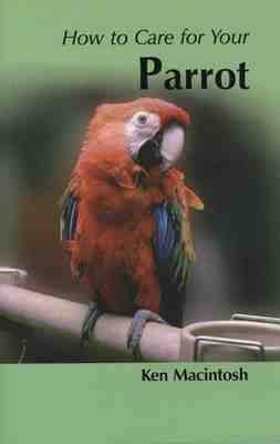 How to Care for Your Parrot - Ken MacIntosh