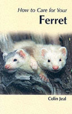 How to Care for Your Ferret - Colin Jeal