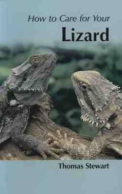 How to Care for Your Lizard - Thomas Stewart