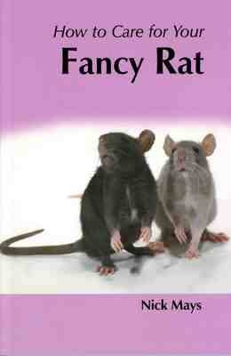 How to Care for Your Fancy Rat - Nick Mays