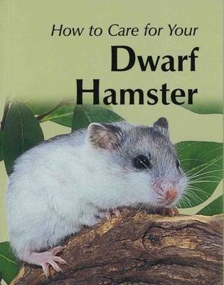 How to Care for Your Dwarf Hamster - Marianne Mays