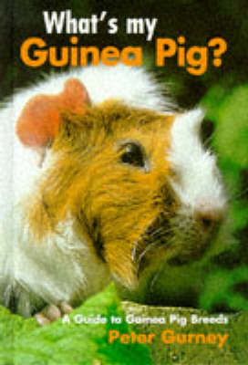 What's My Guinea Pig? - Peter Gurney