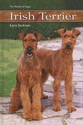 Irish Terrier - Lucy Jackson