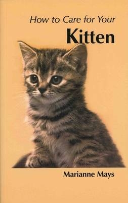 How to Care for Your Kitten - Marianne Mays