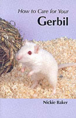 How to Care for Your Gerbil - Nicki Baker
