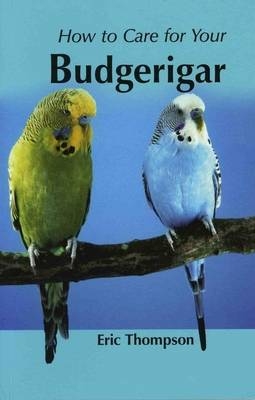 How to Care for Your Budgerigar - Eric Thompson