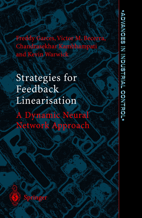 Strategies for Feedback Linearisation - Freddy Rafael Garces, Victor Manuel Becerra, Chandrasekhar Kambhampati, Kevin Warwick