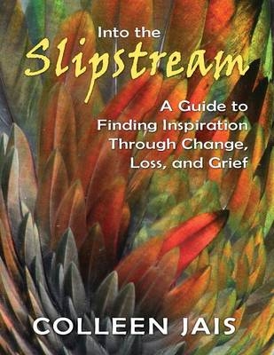 Into the Slipstream - Colleen Jais