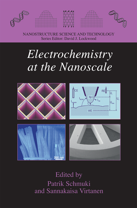 Electrochemistry at the Nanoscale - 