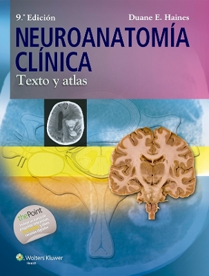 Neuroanatomía clínica - Duane E Haines