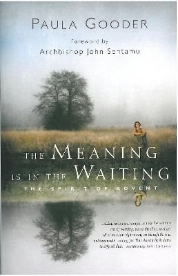 The Meaning is in the Waiting - Paula Gooder