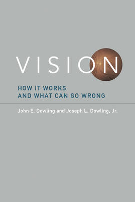 Vision -  John E. Dowling,  Joseph L. Dowling Jr.