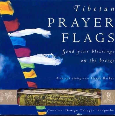 Tibetan Prayer Flags - Diane Barker