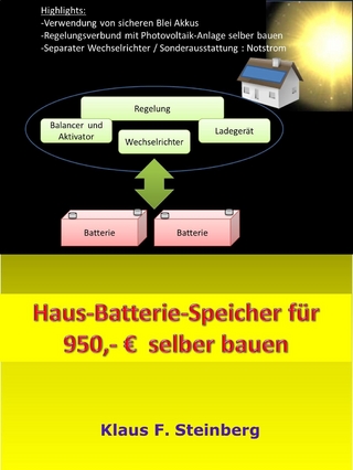 Haus-Batterie-Speicher für 950,- ? selber bauen - Klaus F. Steinberg