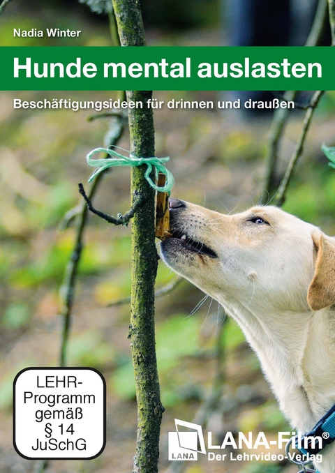 Hunde mental auslasten - Nadia Winter