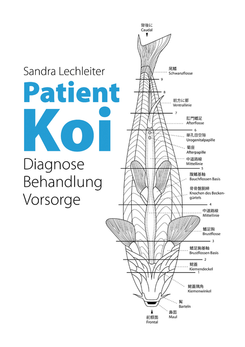 Patient Koi - Sandra Lechleiter