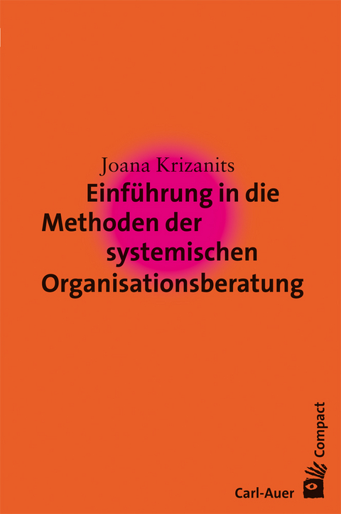 Einführung in die Methoden der systemischen Organisationsberatung - Joana Krizanits