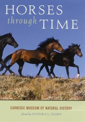 Horses through Time - 