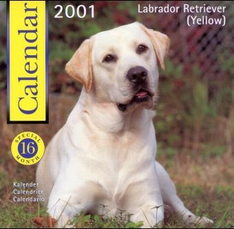 Labrador Retriever (Yellow): Wall Calendar 2001