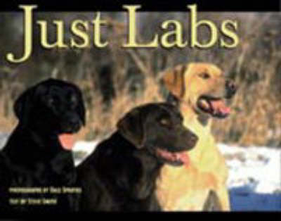 Just Labs - Steve Smith