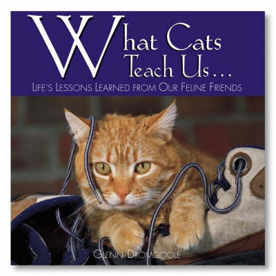 What Cats Teach Us...: Life's Lessons Learned from Our Feline Friends -  Dromgoole Glenn