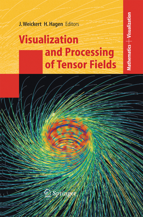 Visualization and Processing of Tensor Fields - 