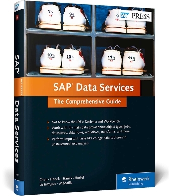 SAP Data Services - Bing Chen, James Hanck, Patrick Hanck, Scott Hertel, Allen Lissarrague