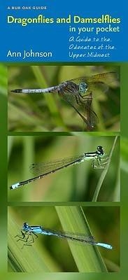 Dragonflies and Damselflies in Your Pocket -  Johnson Ann Johnson