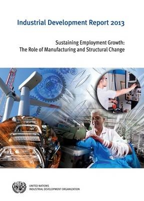 Industrial development report 2013 -  United Nations Industrial Development Organization
