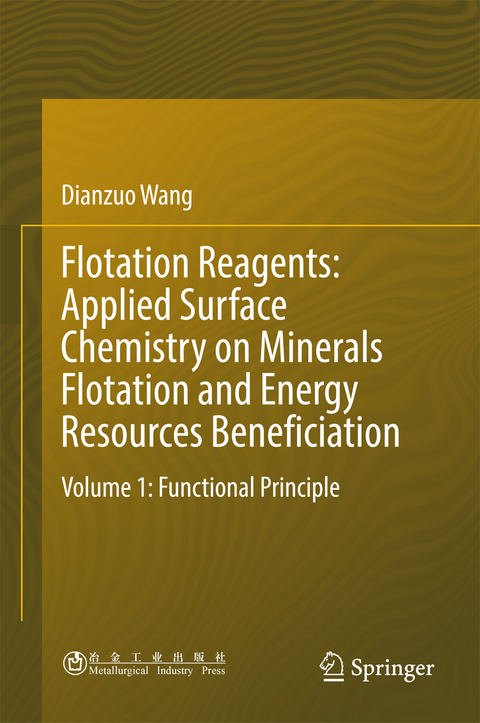 Flotation Reagents: Applied Surface Chemistry on Minerals Flotation and Energy Resources Beneficiation -  Dianzuo Wang