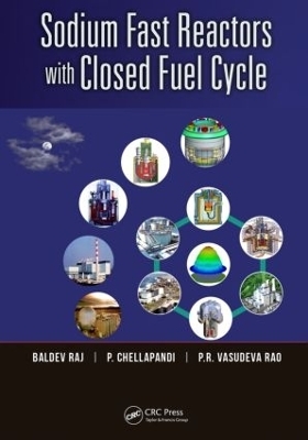 Sodium Fast Reactors with Closed Fuel Cycle - Baldev Raj, P. Chellapandi, P.R. Vasudeva Rao