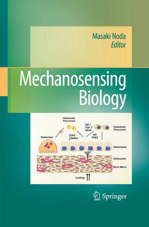 Mechanosensing Biology - 