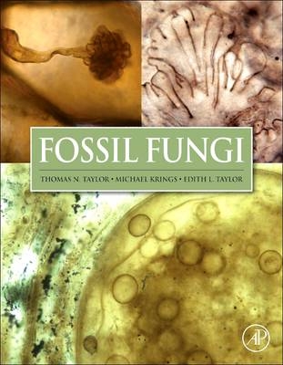 Fossil Fungi - Thomas N Taylor, Michael Krings, Edith L. Taylor