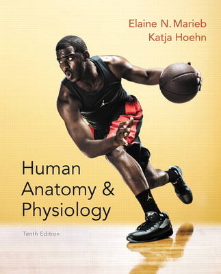 Human Anatomy & Physiology - Elaine N. Marieb, Katja N. Hoehn