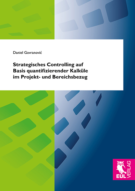 Strategisches Controlling auf Basis quantifizierender Kalküle im Projekt- und Bereichsbezug - Daniel Gavranovic